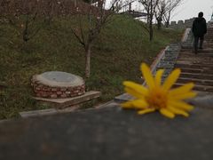 -瓦房兔(璧山店)
