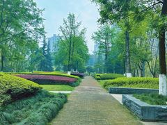 -龙头寺公园