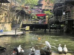 -海南槟榔谷黎苗文化旅游区