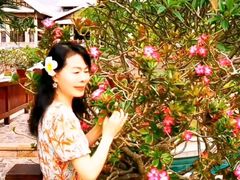 -三亚亚龙湾希尔顿酒店