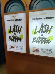 -Browhaus眉睫沙龙