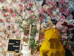 -百好乐宠物友好餐厅(朝外大街店)