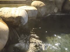 -青城道汤池