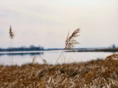 -野鸭湖国家湿地公园