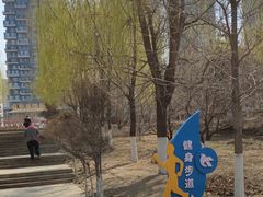 -长白岛森林公园