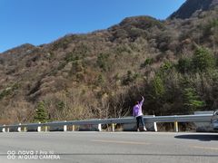 -秦岭风景区