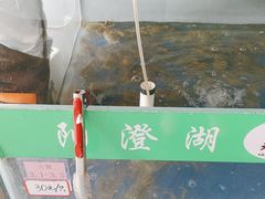 -阳澄湖大闸蟹·琼灵阁牌品牌连锁(吴中总店)