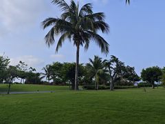 -三亚亚龙湾金棕榈度假酒店