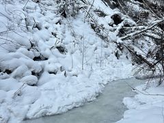 -峡谷浮石林景区
