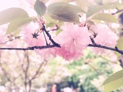-天鹅湖体育公园