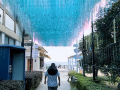 -蛇蟠岛