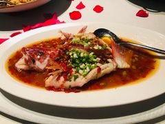 -皇朝会.经典传统粤菜(外滩店)
