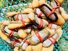 -行运海鲜食集(北京首店)