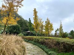 -贵阳市花溪国家城市湿地公园