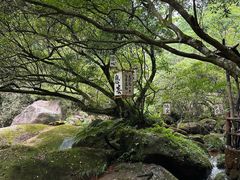 -赤水丹霞旅游区·佛光岩