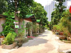 -绿雅居原生态农庄(小涌店)