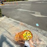 一口气炫掉一个春天🍃