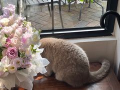 -MIMO CAFE(沙头角店)