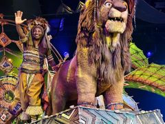 -狮子王庆典