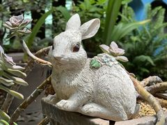 -四川大学(华西校区)