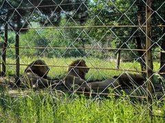 -北京野生动物园