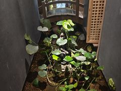 -邈墨茶馆(凤起路店)