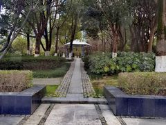 -桐乡植物园