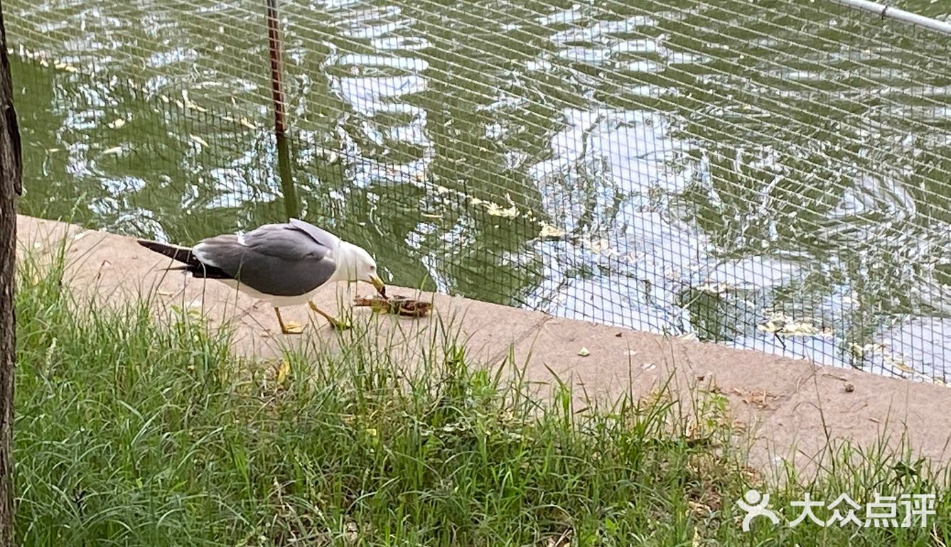 园子里禁止投喂 总有执勤人员盯着乱投喂