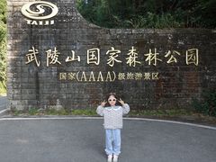 -武陵山森林公园