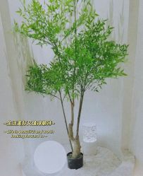 -VE专注问题肌·赛诺龙&科学美肤中心