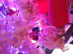 -巴特餐饮6加1音乐餐吧·新疆菜