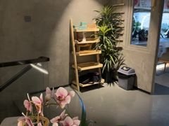 -施奈儿.洗头頭療.按摩SPA.采耳(上梅林店)