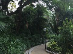 -九龙公园