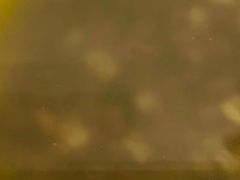 -鲜甜阁·甜品小吃(七星路店)