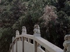 -东平国家森林公园