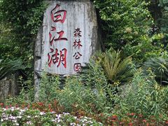 -广州白江湖森林公园