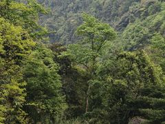 -赤水丹霞旅游区·大瀑布