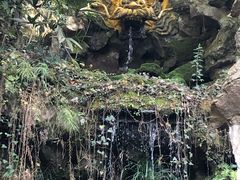 -杭州黄龙洞