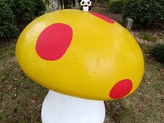 -上海都市菜园