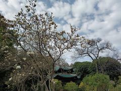 -雀儿山公园