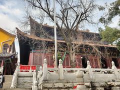 -宝通禅寺