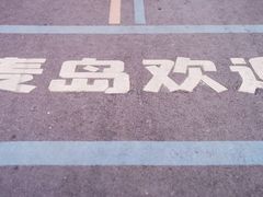 -小麦岛公园
