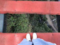 -梦幻奥陶纪景区