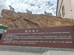 -茅兰沟国家森林公园