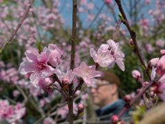 -玄武湖景区-情侣园游乐场