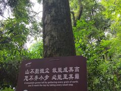 -青城山