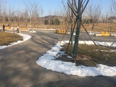 -八宝山(地铁站)