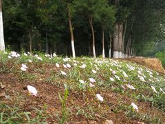 -东郊湿地公园