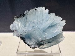 -中国地质博物馆