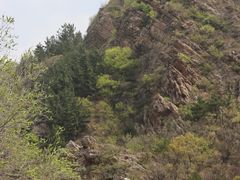 -金龙寺国家森林公园